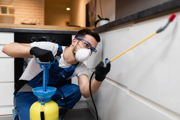 Best Bed Bug Extermination  in Landrum, SC