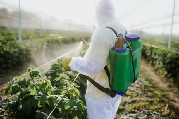 Best Pest Control Treatment  in Landrum, SC